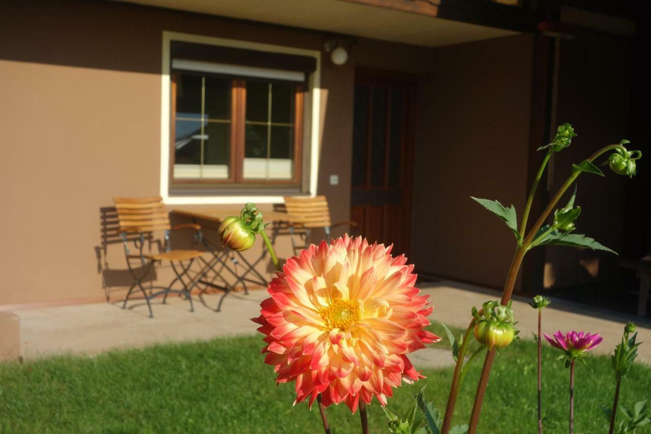 Apartment Steinkellner Tröpolach Exterior foto